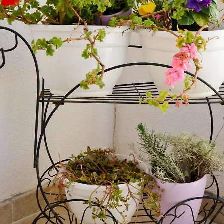 Refreshing In With Shared Garden * Ljubač